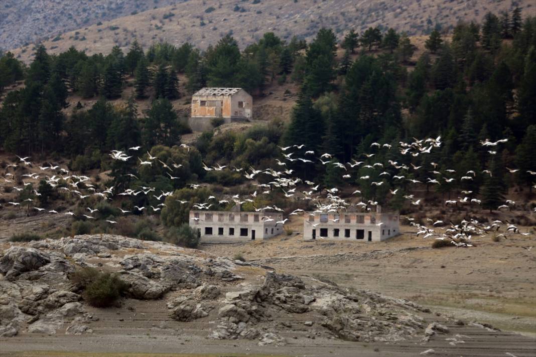 Pelikanların Afrika’ya uzanan göç yolcuğunda Konya molası 3